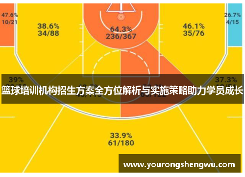 篮球培训机构招生方案全方位解析与实施策略助力学员成长