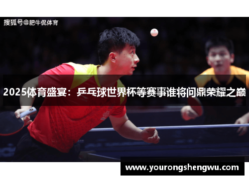 2025体育盛宴:乒乓球世界杯等赛事谁将问鼎荣耀之巅