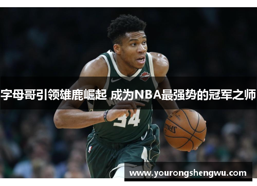 字母哥引领雄鹿崛起 成为NBA最强势的冠军之师