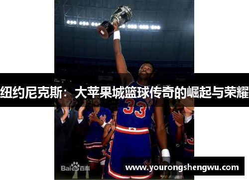 纽约尼克斯：大苹果城篮球传奇的崛起与荣耀